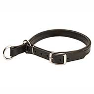 Multifunctional Choke Leather Dog Collar