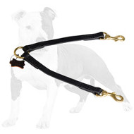 Stitched Leather Coupler Leash for Walking 2 dogs