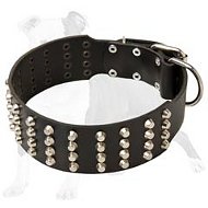 Extra Wide Leather Studded Dog Collar 2 2/5 inches with 4 raws of Pyramids Extra Wide Leather Studded Dog Collar 2 2/5 inches with 4 raws of Pyramids