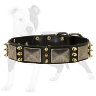 Adjustable Leather Dog Collar for Walking & Training
