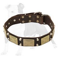 Training Leather Dog Collar with Brass Massive Plates and Nickel Pyramids