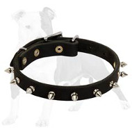 Narrow Spiked Leather Dog Collar for Walking Puppies and Small Breed Canines