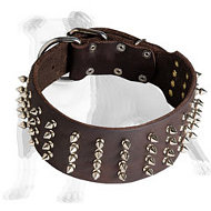 Cool Spiked Leather Dog Collar 3 inch Wide Cool Spiked Leather Dog Collar 3 inch Wide