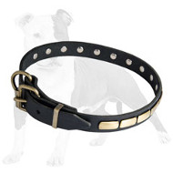 Designer Leather Dog Collar with Brass Plates for Fashion Walking Designer Leather Dog Collar with Brass Plates for Fashion Walking