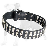 Leather Dog Collar with Silver Pyramids Leather Dog Collar with Silver Pyramids