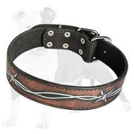 Handpainted Designer Leather Canine Collar for Training and Walking Large/Medium Breed Dogs