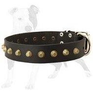 Wide Leather Dog Collar with Brass Pyramids for Walking Large and Medium Canines