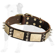 Gorgeous War-Style Leather Dog Collar with Massive Bras Plates and Nickel Spikes Gorgeous War-Style Leather Dog Collar with Massive Bras Plates and Nickel Spikes