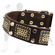 War-like Leather Dog Collar with old brass massive plates and 2 nickel pyramids