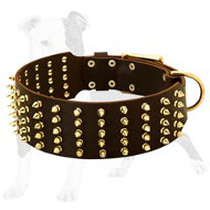 Extra Wide Leather Dog Collar with Brass Spikes for Daily Fashion Walking