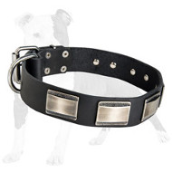 Leather Dog Collar with Figured Plates for Walking and Training