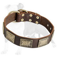 Leather Dog Collar with Vintage Curved Plates for Walking and Training Large and Medium Breed Dogs