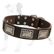 War Like Leather Dog Collar with Plates