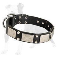 Designer Leather Dog Collar with Nickel Pyramids and Large Plates Designer Leather Dog Collar with Nickel Pyramids and Large Plates