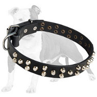 Easy Adjustable Designer Leather Dog Collar with Pyramids for Medium & Large Breed Dogs