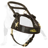 Guide & Assistance Leather Dog Harness with Long Handle