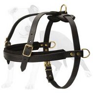 Professional Pulling and Tracking Leather Dog Harness
