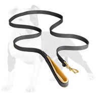 Leather Dog Leash with Nappa Padded Handle for Walking and Training
