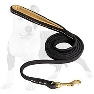 Chic Leather Dog Leash Stitched with Padded Handle