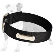 Adjustable Nylon Canine Collar with ID Tag for Walking and Training