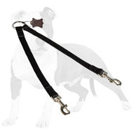 Coupler Nylon Leash for Walking Two Dogs