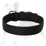 All-Weather Nylon Collar for Training and Walking Your Beloved Dog