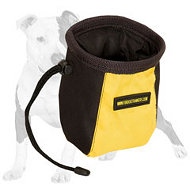 Super Comfortable Dog Treat Bag