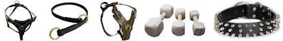 DOG TRAINING EQUIPMENT