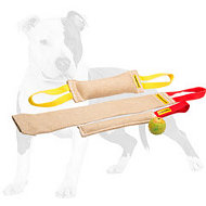 Puppy Training Set and Exciting Training Toy