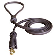 1/2 inch Leather Round Dog Leash for Training Dogs