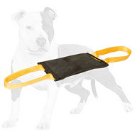 Leather Tug for Puppy / Young Dog Training
