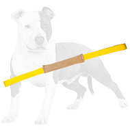 Soft Leather Pocket Toy with Two Handles