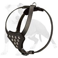 Fashion Leather Dog Harness for Puppy or Small Breeds Walking and Training