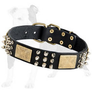 Walking Leather Dog Collar with Spikes, Pyramids and Massive Plates