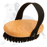 Bristle Dog Brush for Everyday Grooming