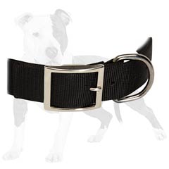 Perfect training collar made of nylon