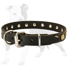 Black Leather Dog Collar with Crafted Edges
