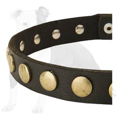 Quality Black Leather Dog Collar with Studs