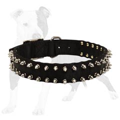 Spiked collar will make your dog unbeliavably great!