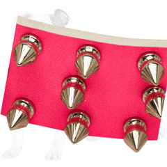 Leather dog collar with nickel plated buckle and D-ring