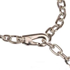Easy in use choke chain dog collar with snap hook