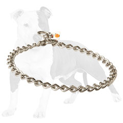 Reliable choke dog collar made of steel