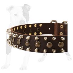 Royal Collar for Your Royal Dog