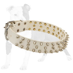 Supple leather collar adorned with silver spikes