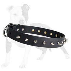 Spiked leather dog collar