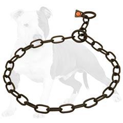 Non-rusting metal choke   dog collar
