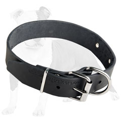 Professional Training Leather Dog Collar