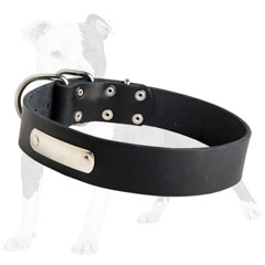 Walking Leather Dog Collar