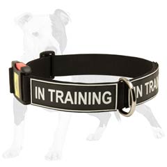 best nylon dog collar