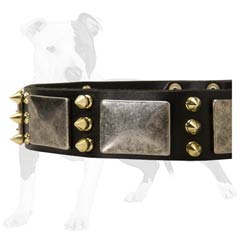 Reliable Leather Dog Collar